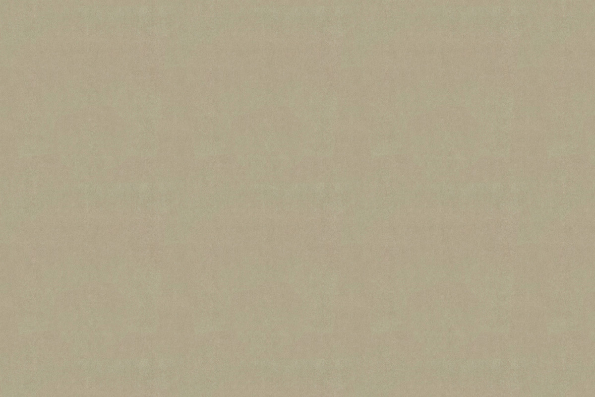 HOUSE VELOUR-SH** GHOST