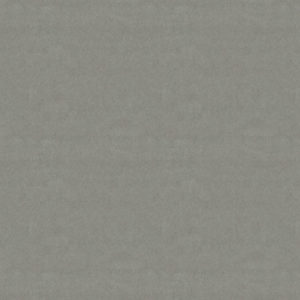 HOUSE VELOUR-SH** FOSSIL